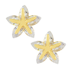 Trendy Star 18K Gold Plated American Diamond Earring For Women