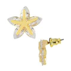Trendy Star 18K Gold Plated American Diamond Earring For Women