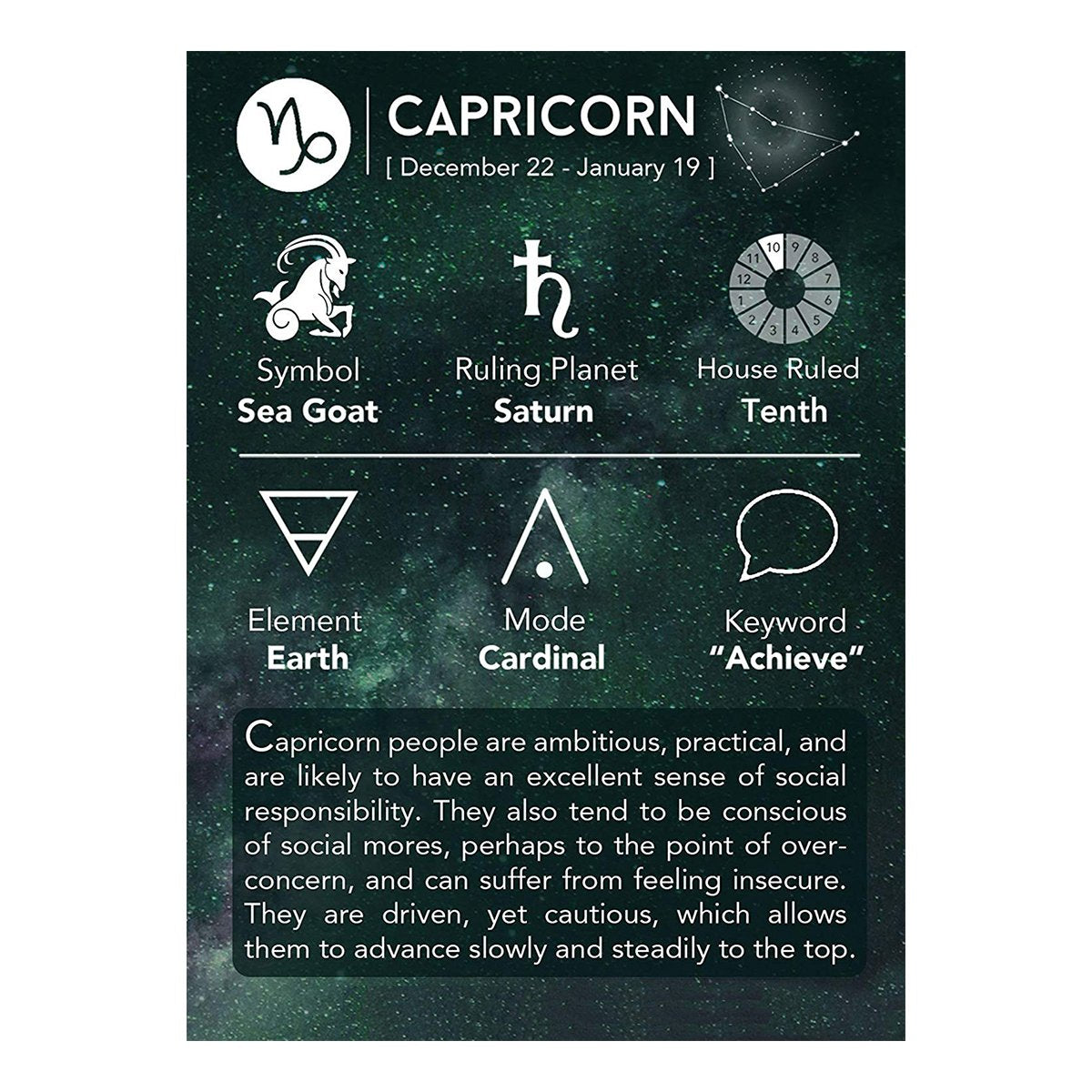 Capricon Constellation Zodiac Star Copper Leather Wristband Bracelet