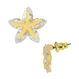 Trendy Star 18K Gold Plated American Diamond Earring For Women