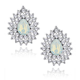 Leaf Drop Aaa Crystal American Diamond White Stud Earring Girls Women
